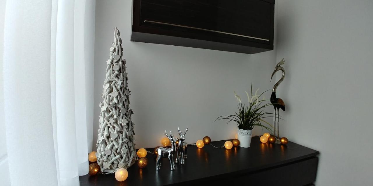 Apartament Wyspa, 2 Pokoje, Parking Gratis 미에드지보드지 외부 사진